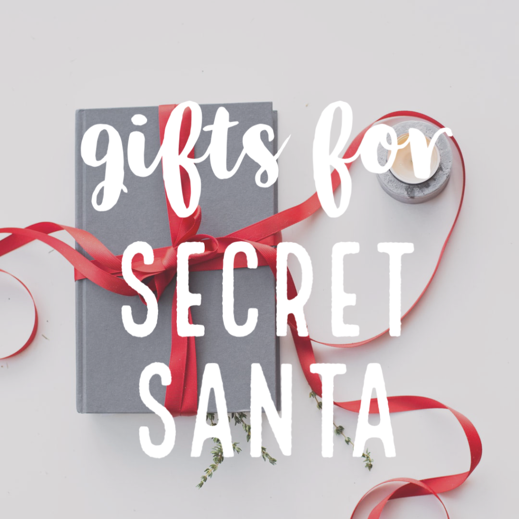 gifts for secret Santa or white elephant last-minute gift ideas for Christmas Brianna K bitsofbri blog 